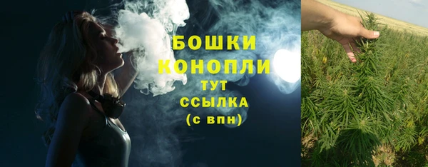хмурый Дмитровск