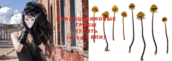 соль ск Дмитров