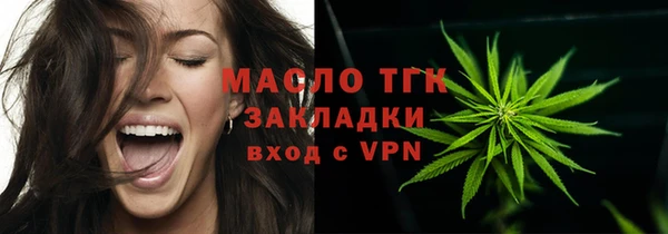 хмурый Дмитровск