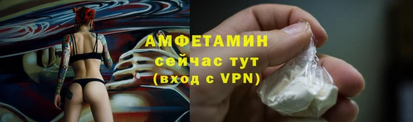 соль ск Дмитров