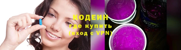 хмурый Дмитровск