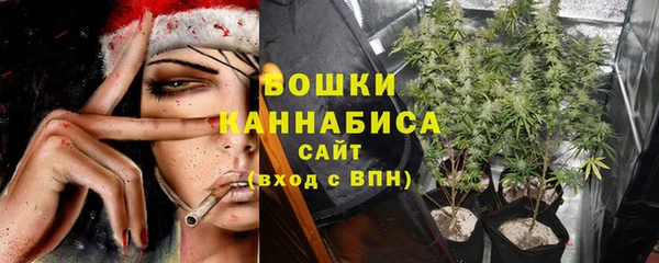ECSTASY Дмитриев